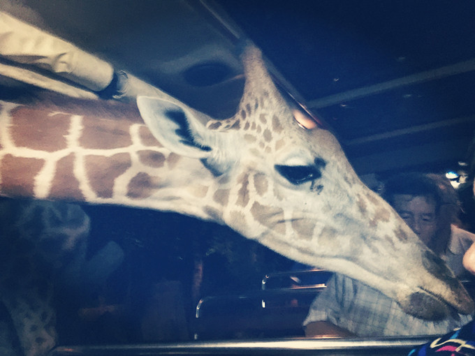 第一次来泰国不知道这5件事,第一次去旅游不知道去哪里好