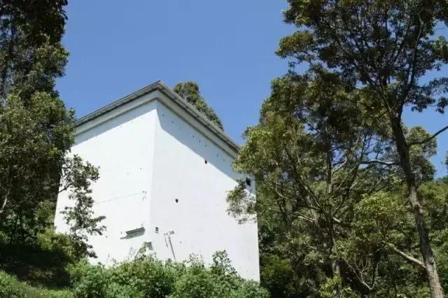 马来印尼燕窝源头直供,印尼燕窝和马来燕窝的区别ppt