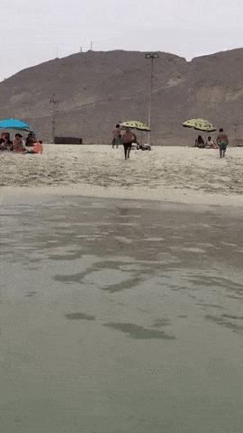 逗比搞笑:厂里刚来了一漂亮妹子,我和同事打赌谁先能让那妹子说喜欢你,输了请吃饭