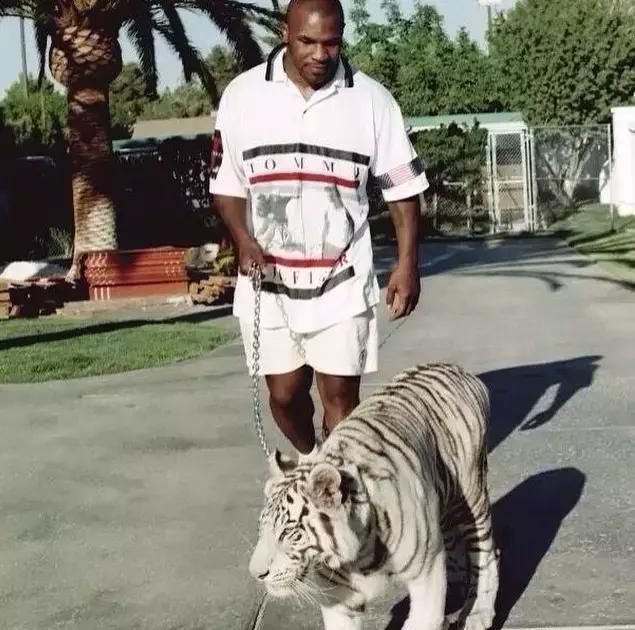 说他是爸爸最爱的POLO衫品牌，这个老大哥二话不说就急眼了！