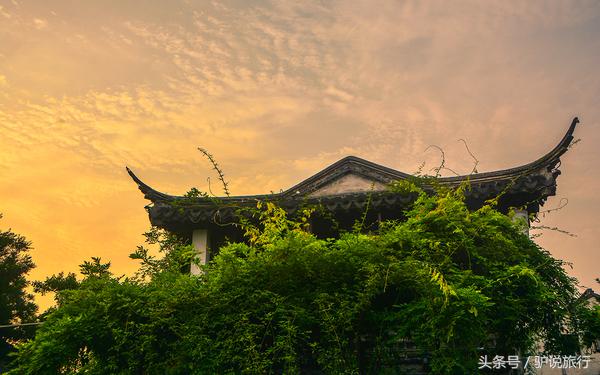 苏州旅游蜜月,苏州蜜月旅行