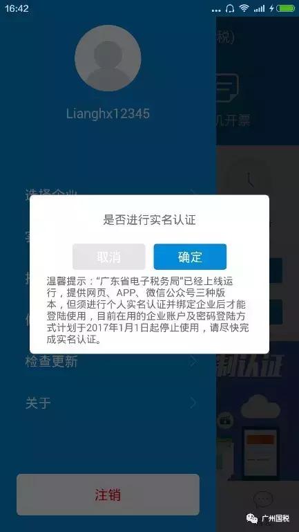 广东电子税务开不出蓝票怎么办,广州电子税务局新版