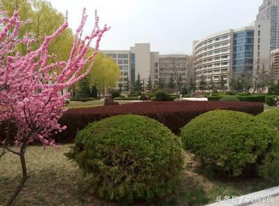 大连沙河口西岗中山哪个区最大,大连市区中山西岗沙河口