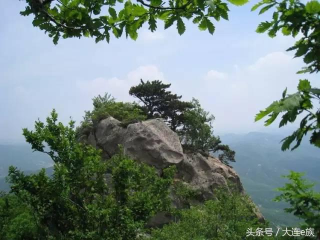 大连沙河口西岗中山哪个区最大,大连市区中山西岗沙河口