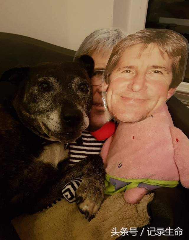 主人离开后狗狗情绪低落,主人出差狗狗大哭