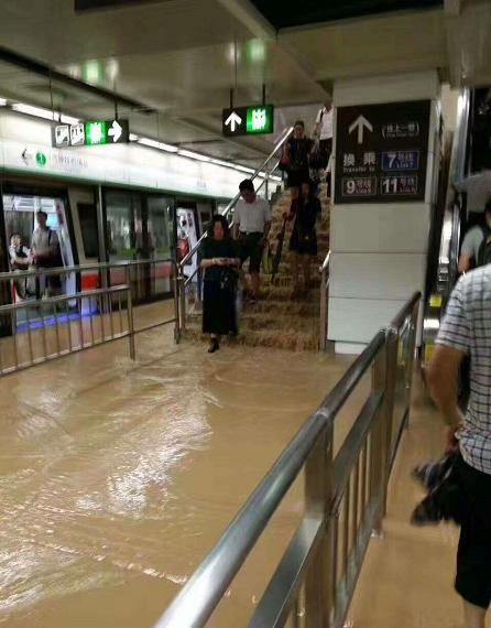 深圳“苗柏”后，如何挽救打湿受潮、浸泡发霉的家具？看这里