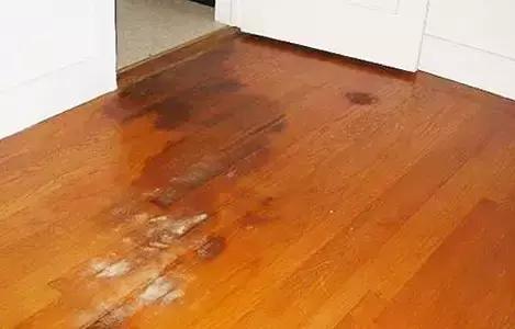 深圳“苗柏”后，如何挽救打湿受潮、浸泡发霉的家具？看这里