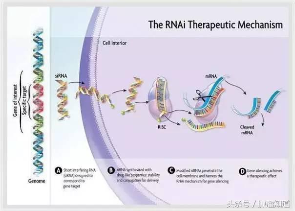 害怕乳腺癌切不净会复发？！新技术帮你杜绝复发风险！