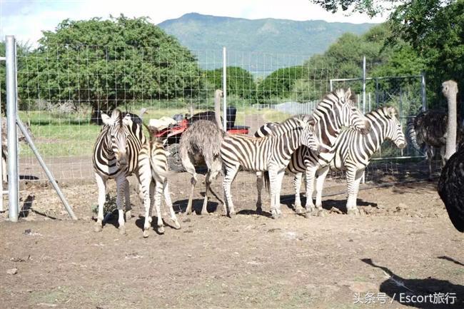 旅游景点攻略毛里求斯,分手大师毛里求斯取景酒店