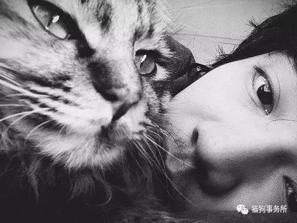 为什么猫可以让一个人的心情变好,猫能使人成熟的从来不是岁月