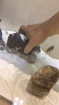 足球精彩瞬间gif,1988年国足gif