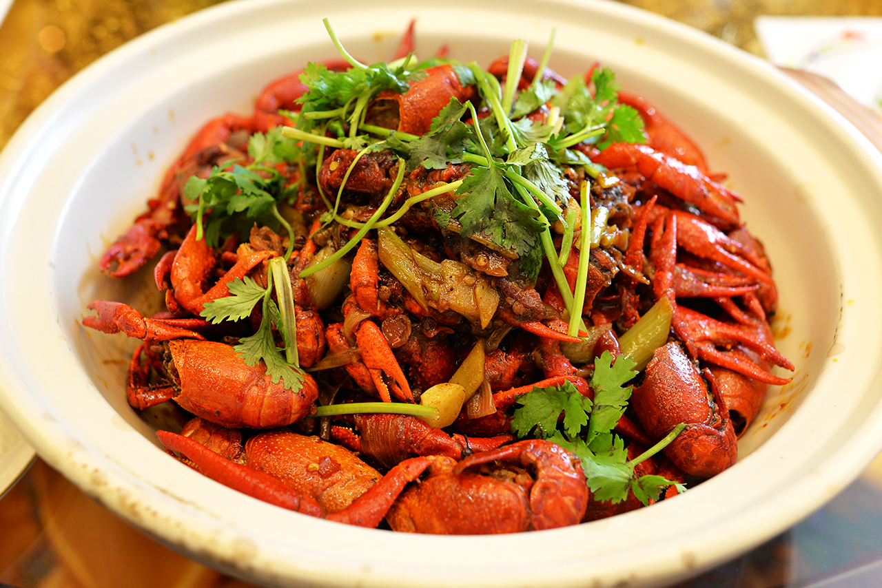 跟着朋友去的地方,郊区出游最好的地方