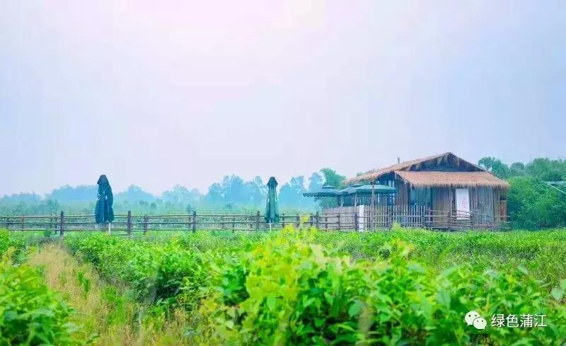 制陶、染布、品美食,6月24—25日,来成都仁和春天感受明月村的诗意生活