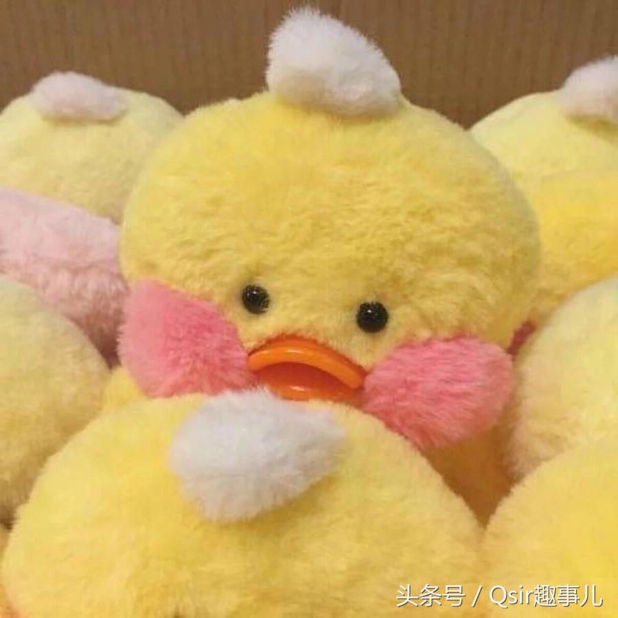 搞笑图集(7)-玻尿酸打多了怎么办?那就来当表情包新星啊