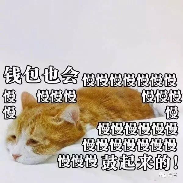 ysl蕾丝超模气垫,ysl蕾丝气垫靠谱吗