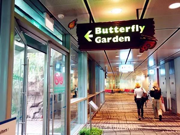 世界最值得一去的机场排名,全球排第一的机场