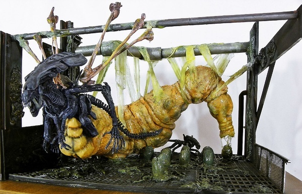 异形契约深度剖析,异形契约深度解析图