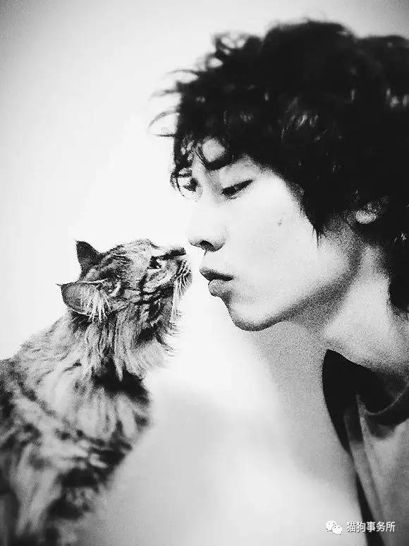 为什么猫可以让一个人的心情变好,猫能使人成熟的从来不是岁月