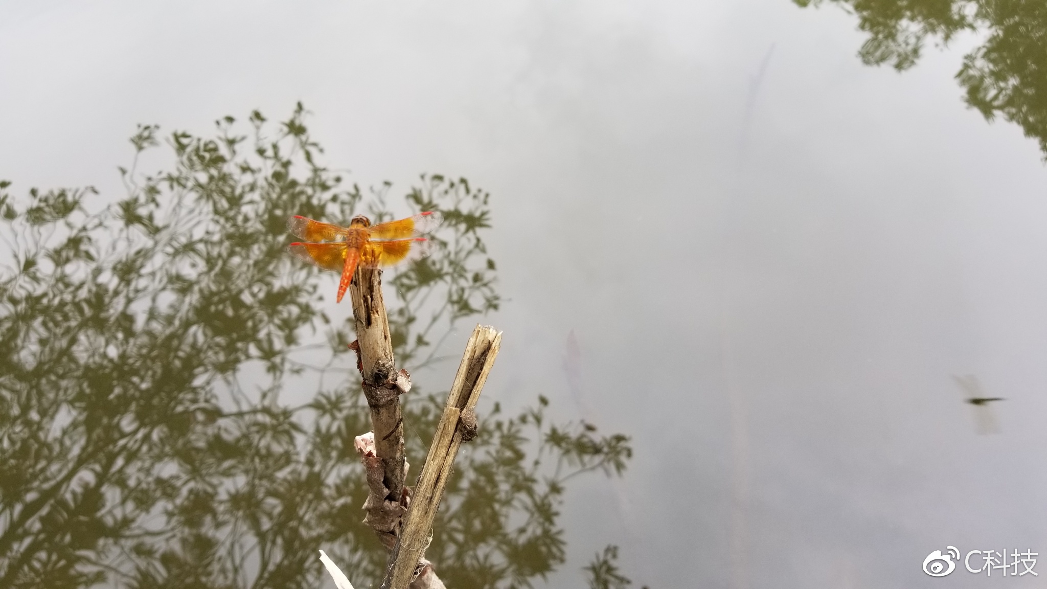 三星手机galaxy进化史,三星最新款手机galaxys8