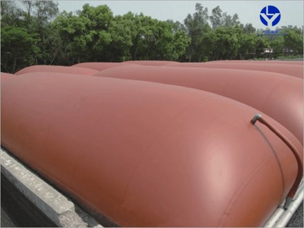 沼气中毒的一般急救措施,沼气中毒案件怎么处理