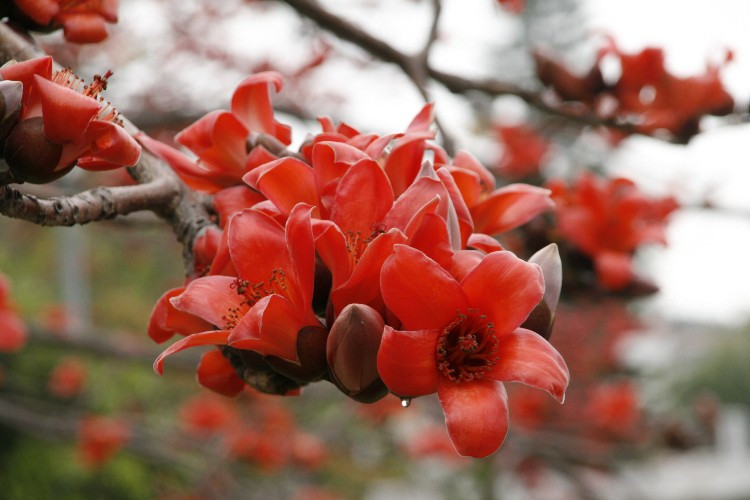 怎样才能找到合适自己的化妆品,怎样可以找到适合自己的化妆品