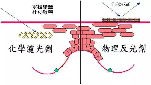 夏季宝宝防晒需谨慎,妈妈们要科学防晒