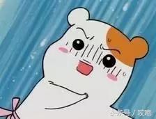 iphone购买时间和激活时间不一致,iphone激活日期不准