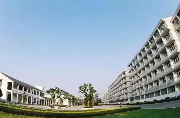 邂逅苏农,苏农视频