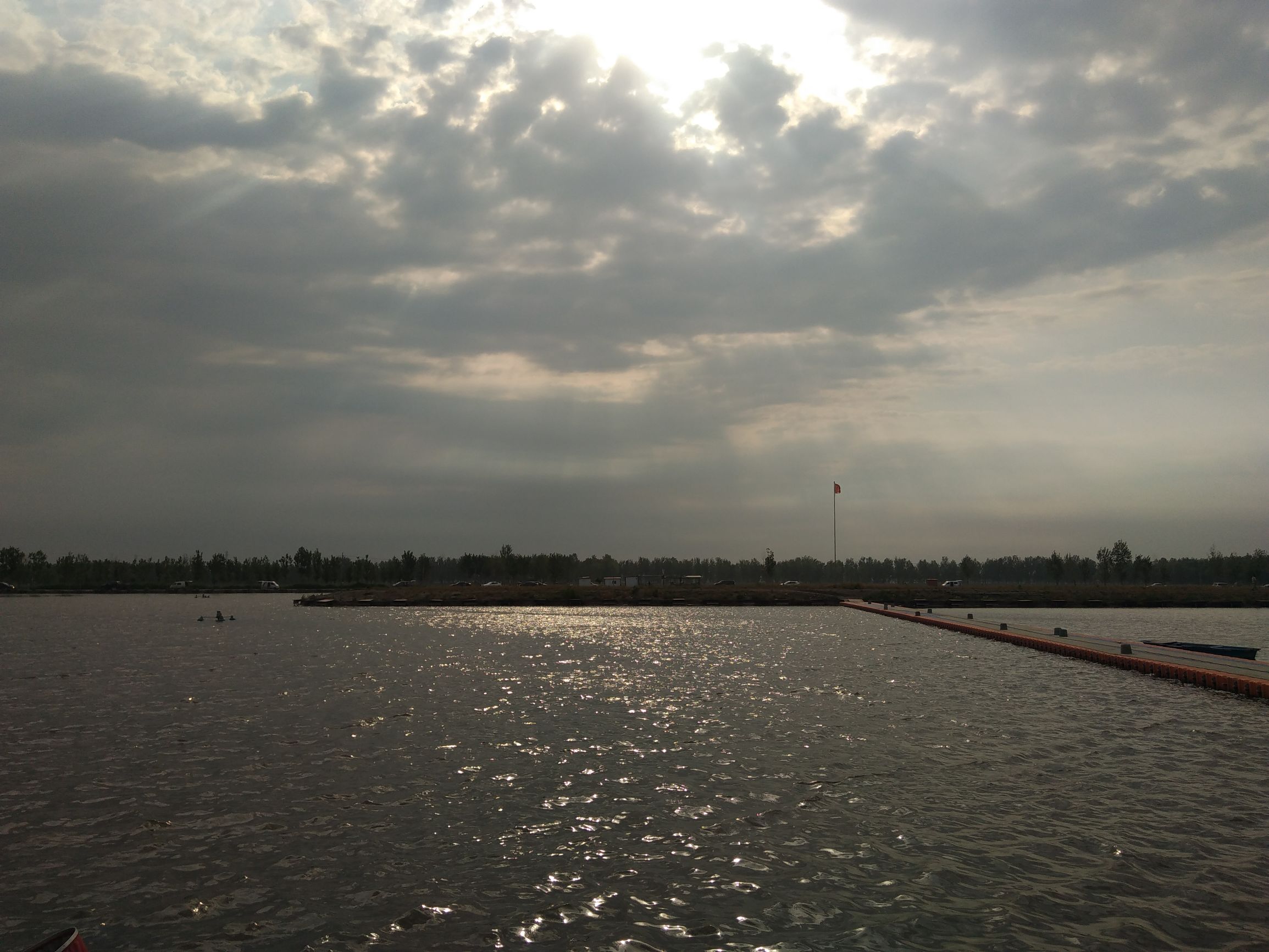 黑坑钓鱼快速抢鱼,黑坑抢鱼和野钓