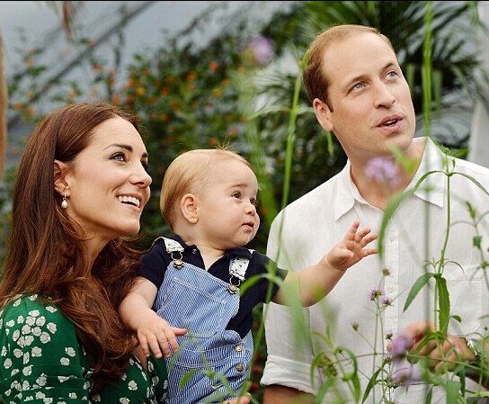 凯特王妃事件,凯特王妃事件真相