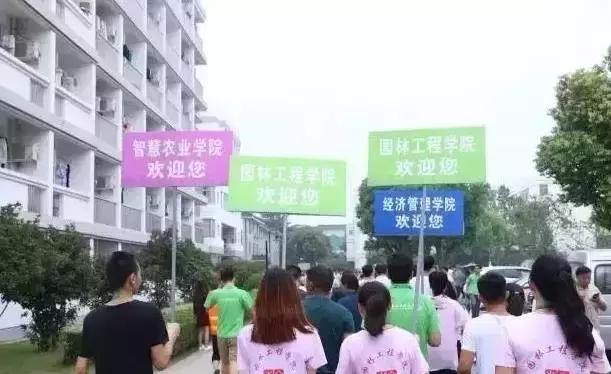 邂逅苏农,苏农视频