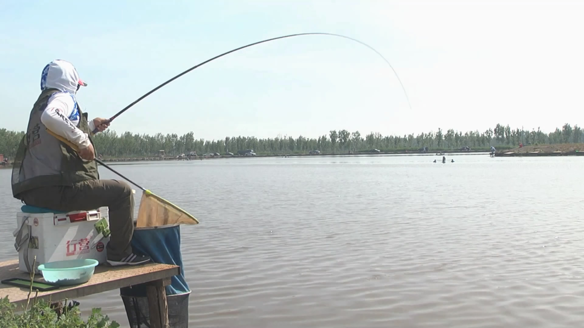 黑坑钓鱼快速抢鱼,黑坑抢鱼和野钓