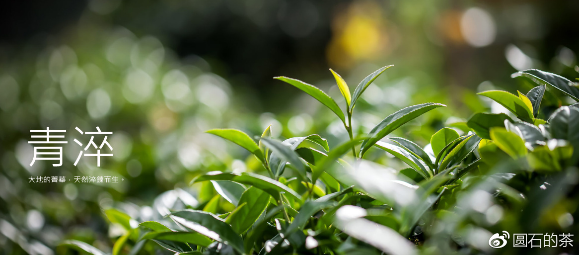 怎么让廉价的奶茶变得受欢迎,现在的奶茶为什么花样多