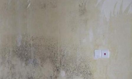 梅雨季家里潮湿到发霉,梅雨天墙角发霉