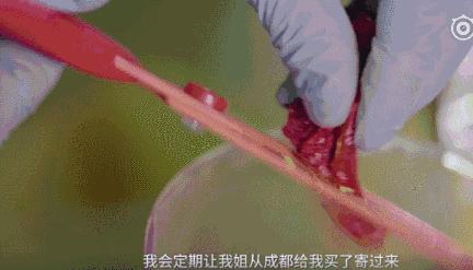 川味椒麻鸡优惠套餐,椒麻鸡1000g