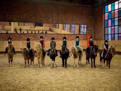 仅3%的人知道马术治疗的神奇之处