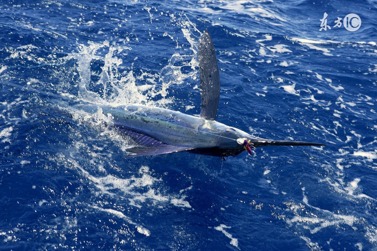拉丝粉加多了不雾化了怎么办,拉丝粉加多太粘怎么办