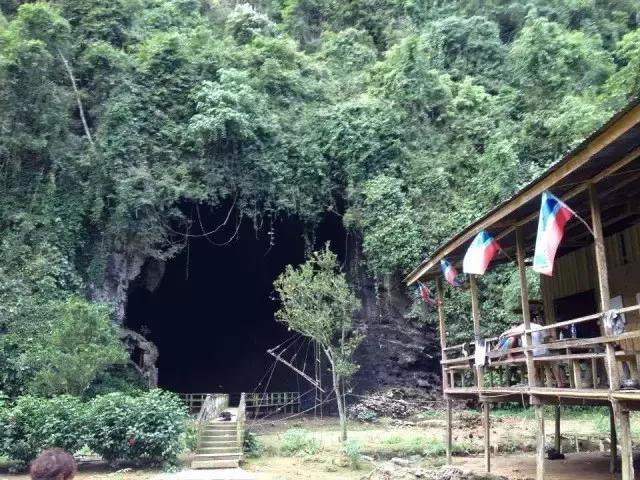 马来印尼燕窝源头直供,印尼燕窝和马来燕窝的区别ppt