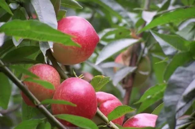 连云港生活是怎样一种感受,在连云港生活的感受