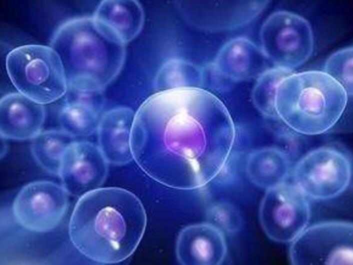 怀孕女子去做产检结果要生了,女子怀孕五个月去医院做产检