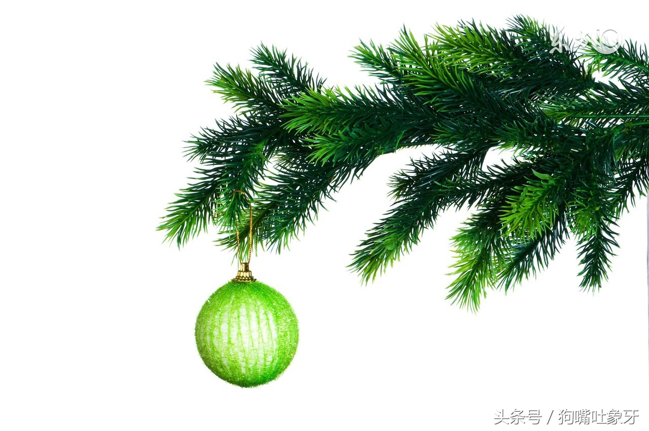 几单就出排名?从卖家发布任务的灵活度谈愿望树中期大改版的新玩法