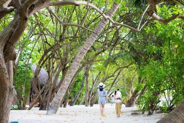 谁说带着娃就不能度蜜月？｜你没见过的马尔代夫游记