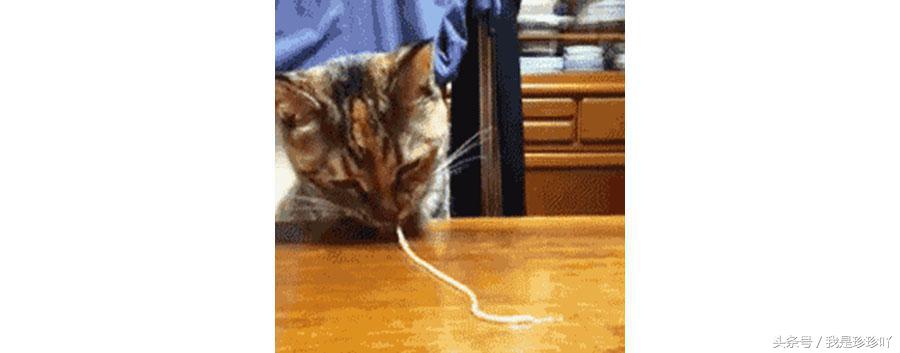 美容仪器导入导出仪的作用,导入导出美容仪的用法