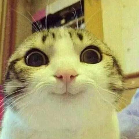 初次参加电影发布会感受,第一次体验看电影