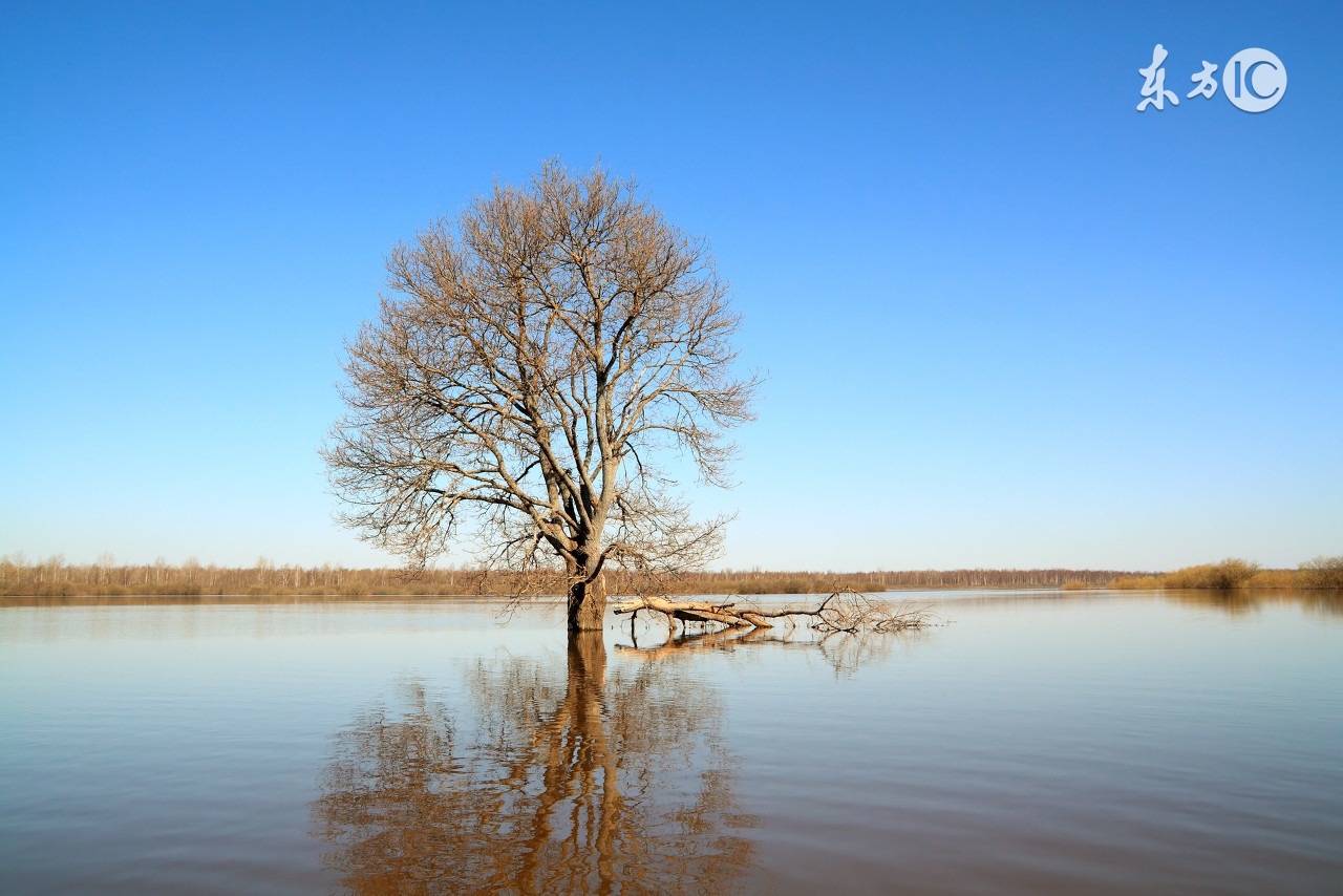 学对知识，才能触摸到成功的核心