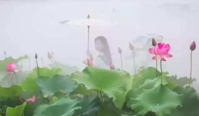 金华十大赏花景点排名,金华荷花景点大全