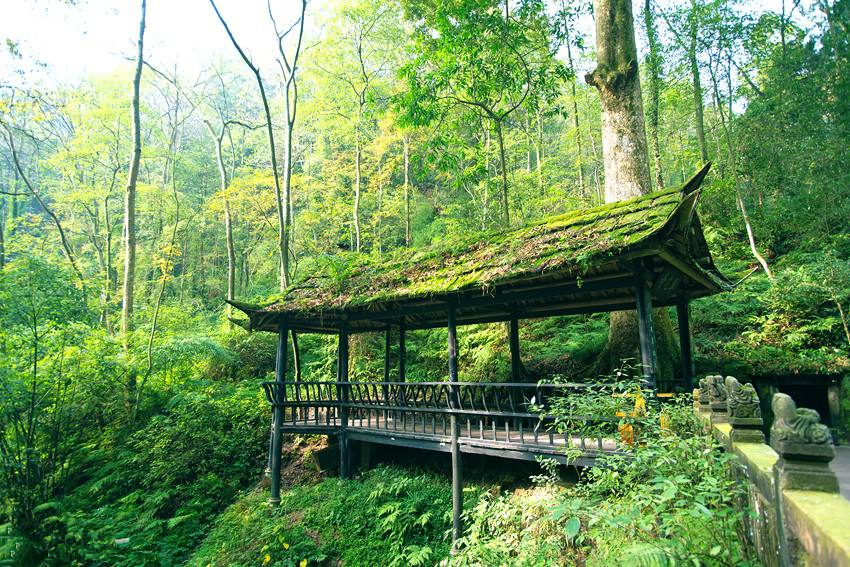 父亲节小孩一般给父亲送什么礼物,父亲节送什么礼物好简单手工