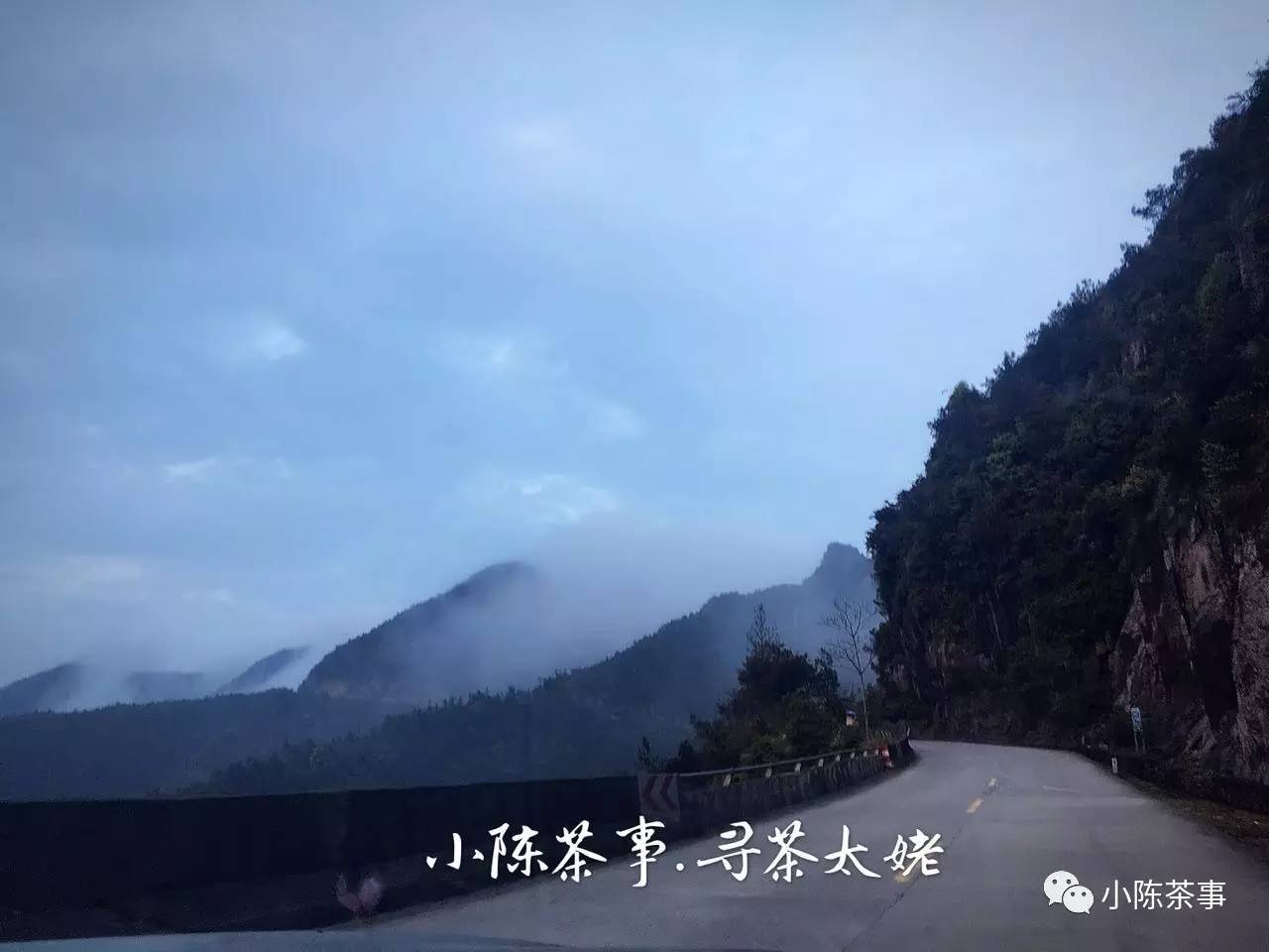 新人买白茶从3个方面入手可避坑,新手入门怎么买白茶杯好