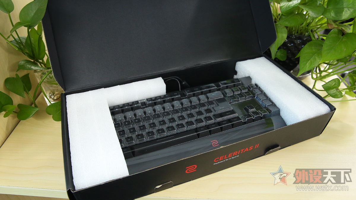 六年磨一“键”ZOWIECELERITASⅡ机械键盘评测