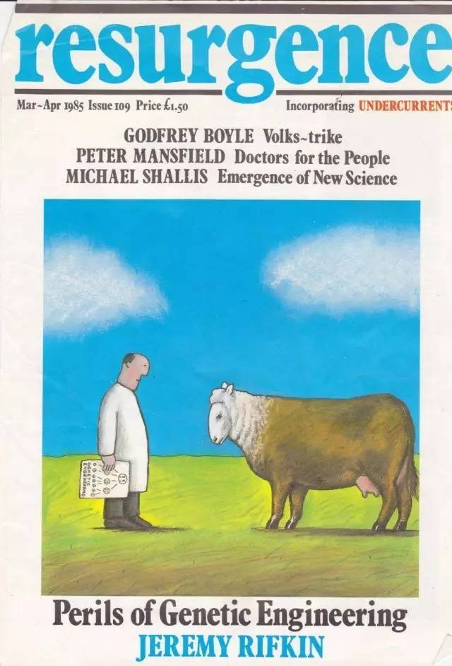 树丛｜大眼睛小眼珠，呆萌可爱舍夫勒